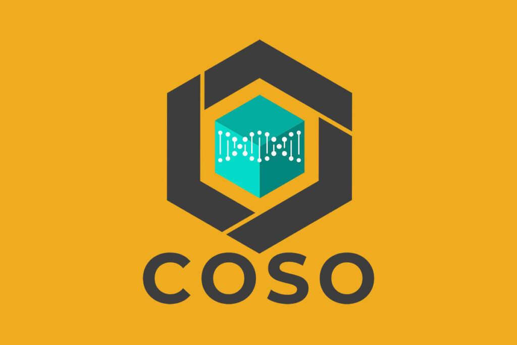 Why COSO Compliance Matters and How Specialists Ensure Success