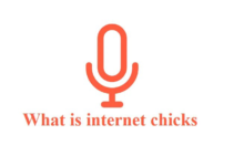 Internet Chicks