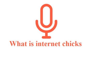 Internet Chicks