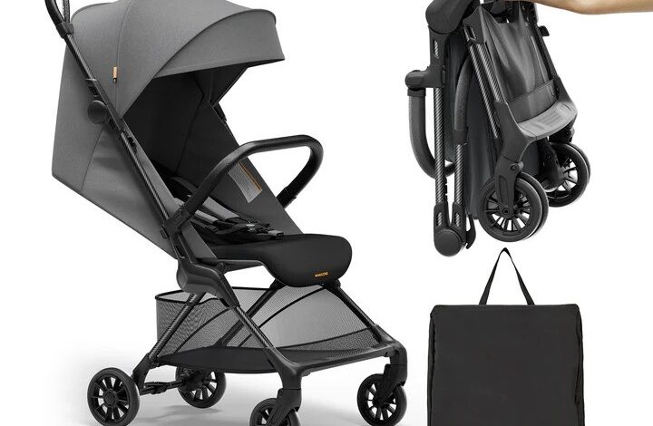 Choosing the Best Airplane Stroller: Top Strollers for Parents Who Love to Travel