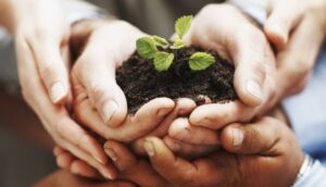 Cultivating Success: The Modern Approach to Workplace Excellence