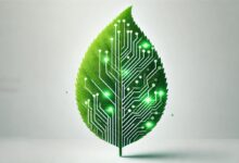 5 AI Technologies to Use When Striving for a Sustainable Future