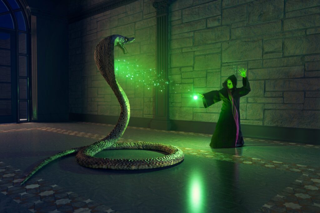 Competitive Edge The SerpentRogue