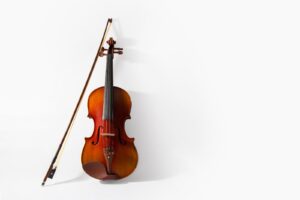 il violino e bello se lo suono con l'uccello cento